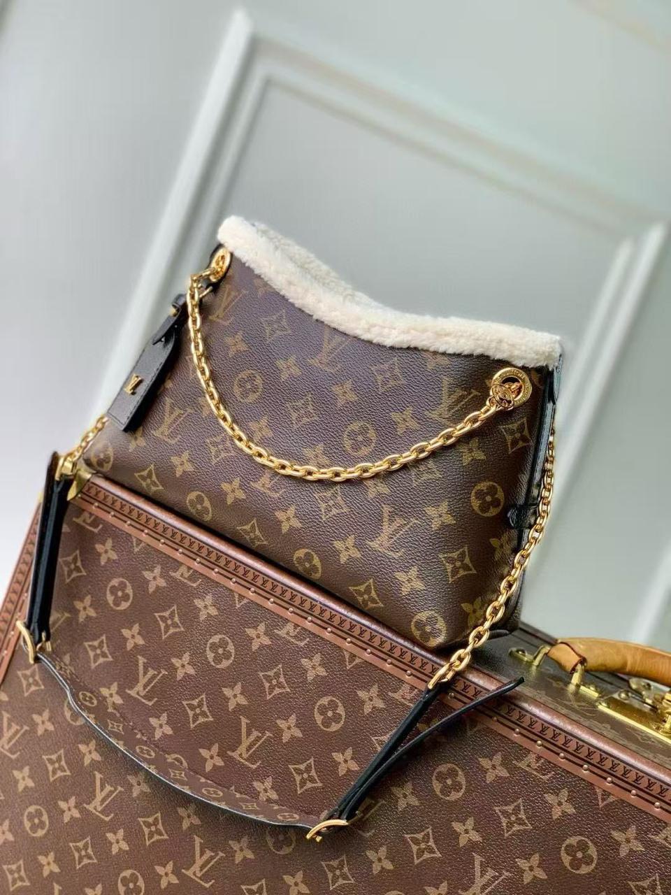 Louis Vuitton Women's Bag