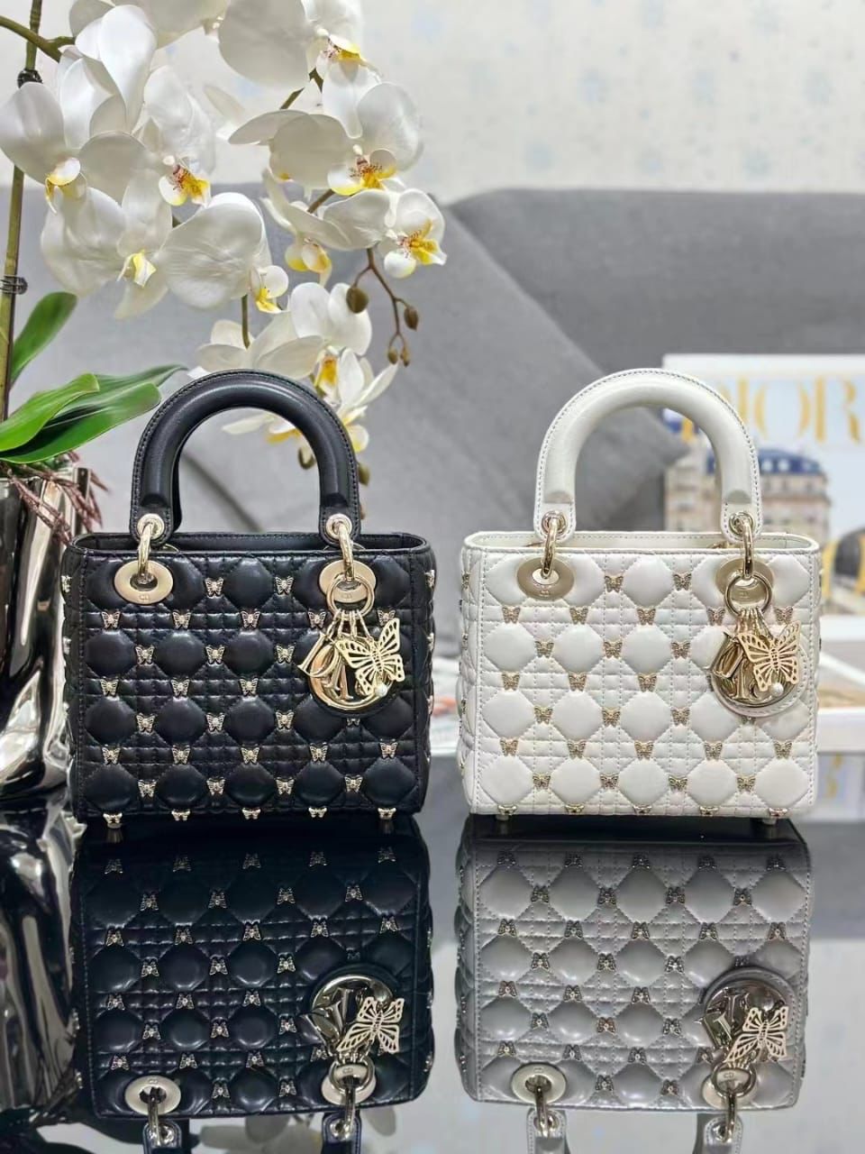 Lady Dior Butterfly Bag - Aone Brands Dubai