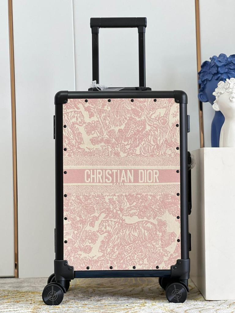 Christian Dior Luggage