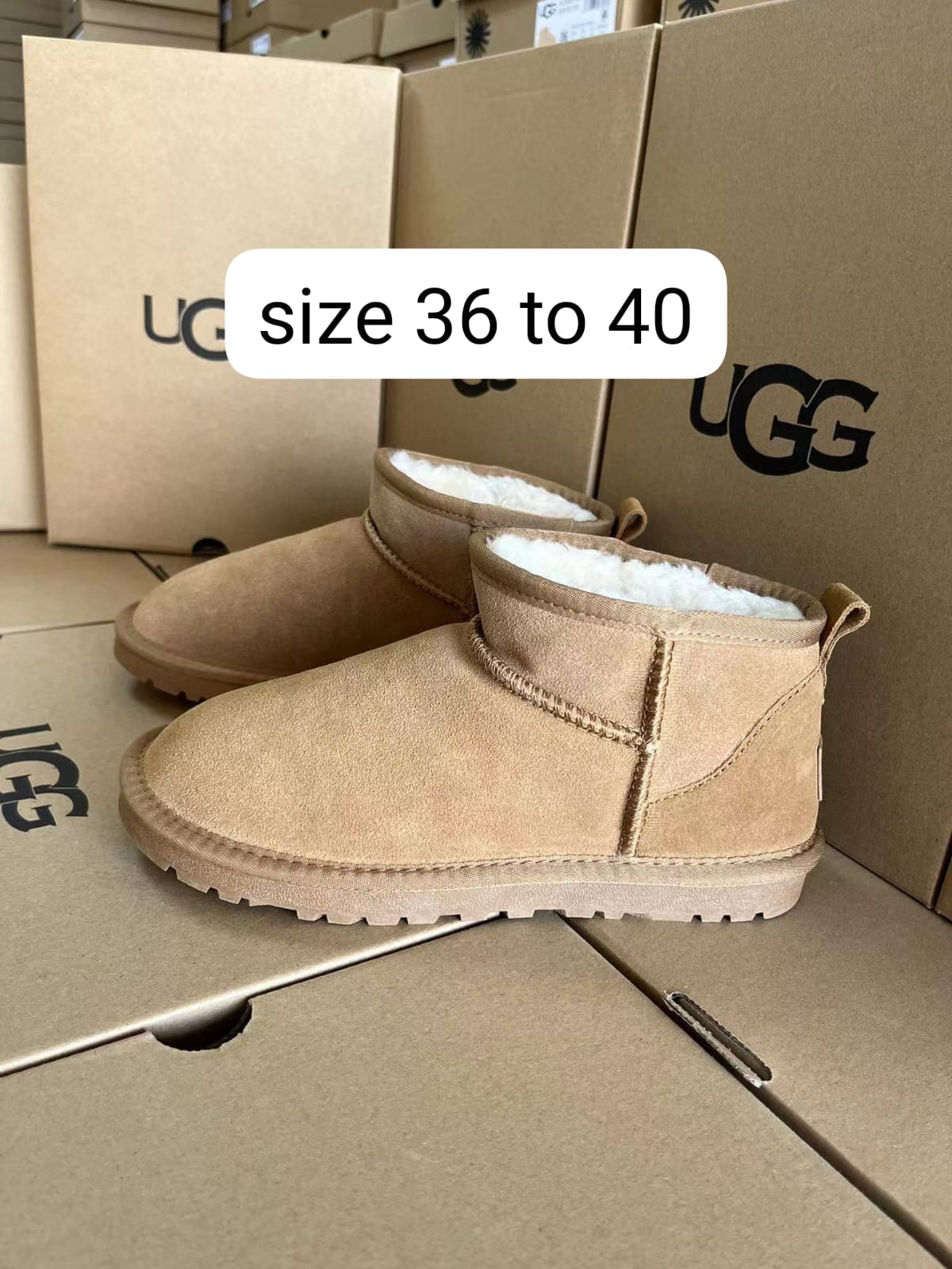 Ugg Women Shoes