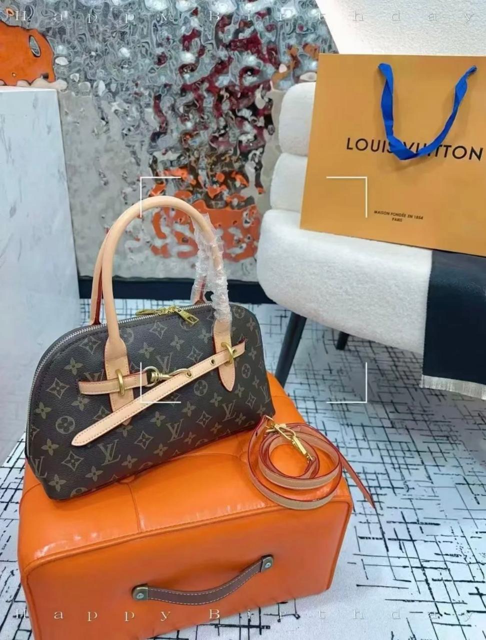 Louis Vuitton Womens Bag