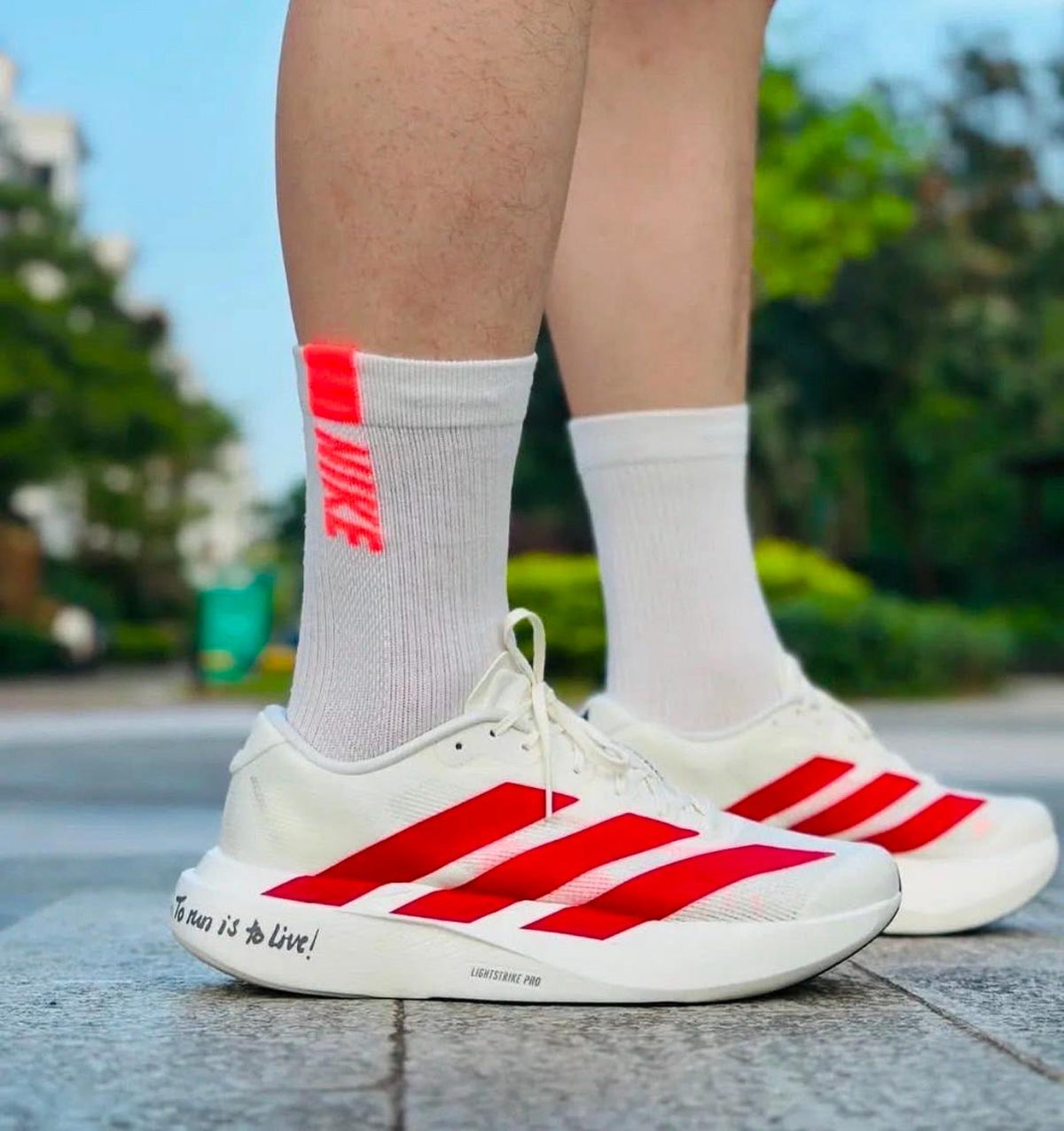 Adidas Adizero EVO SL Cloud White Lucid Red sneakers at Aone Brands Dubai